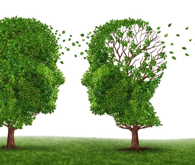 https://www.vizita.nl/actions/assets/generate-transform?transformId=2446