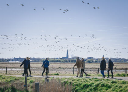 Wandelaars in een open veld met vogels in de lucht.