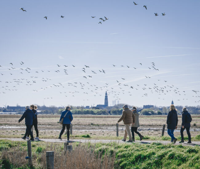 Wandelaars in een open veld met vogels in de lucht.