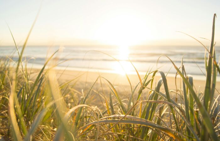 Zonsondergang boven het strand, met gras op de voorgrond.
