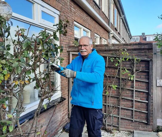 Een oudere man snoeit een plant in de tuin.